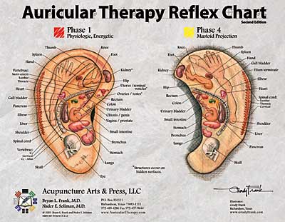 Acupuncture Medical Arts 