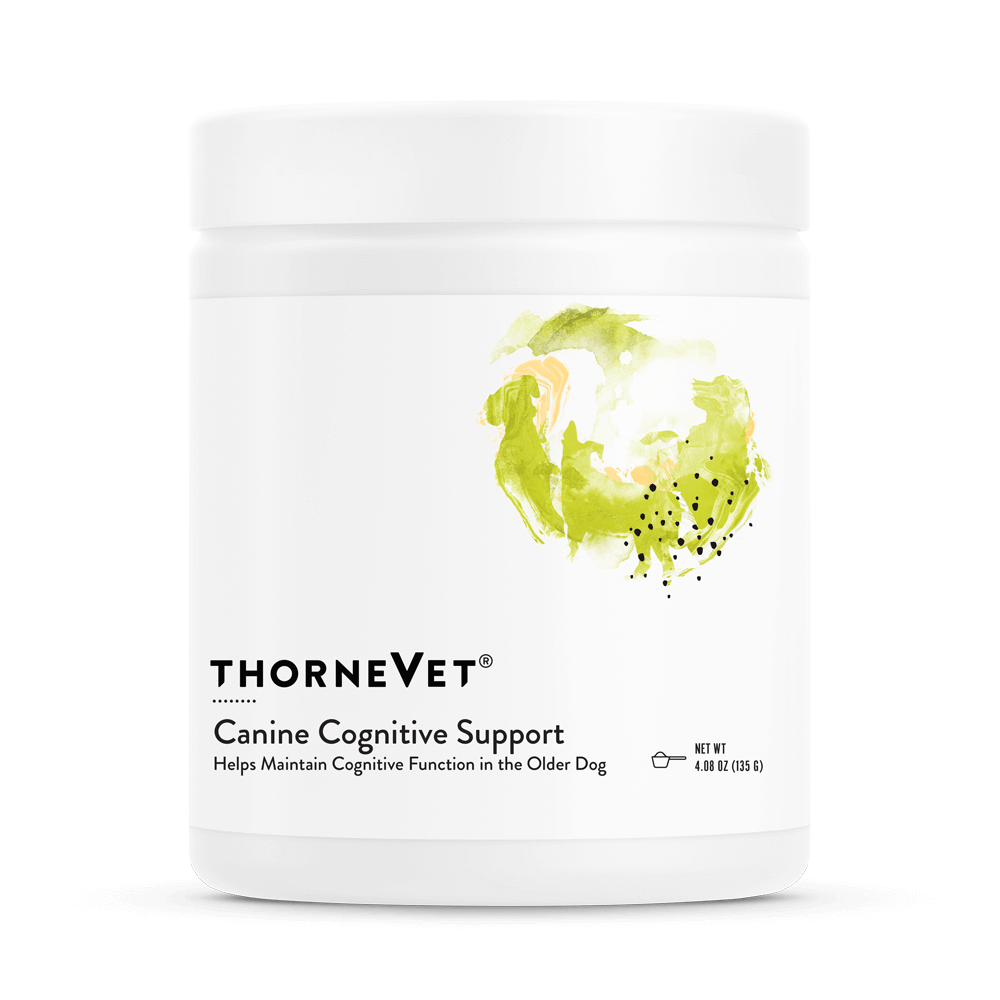 Canine Cognitive Support, 90 Scoops