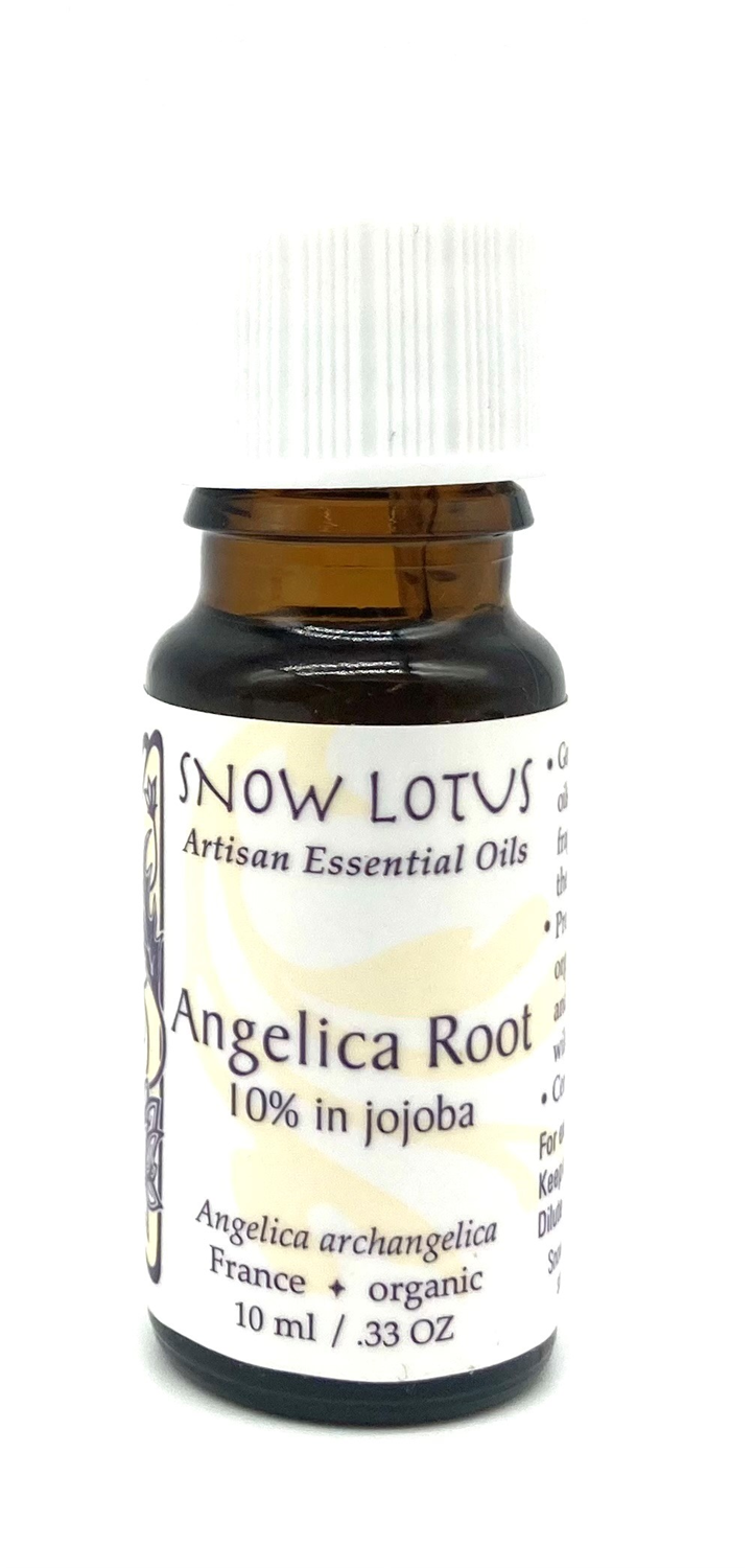 Angelica Root (10% in jojoba) Essential Oil