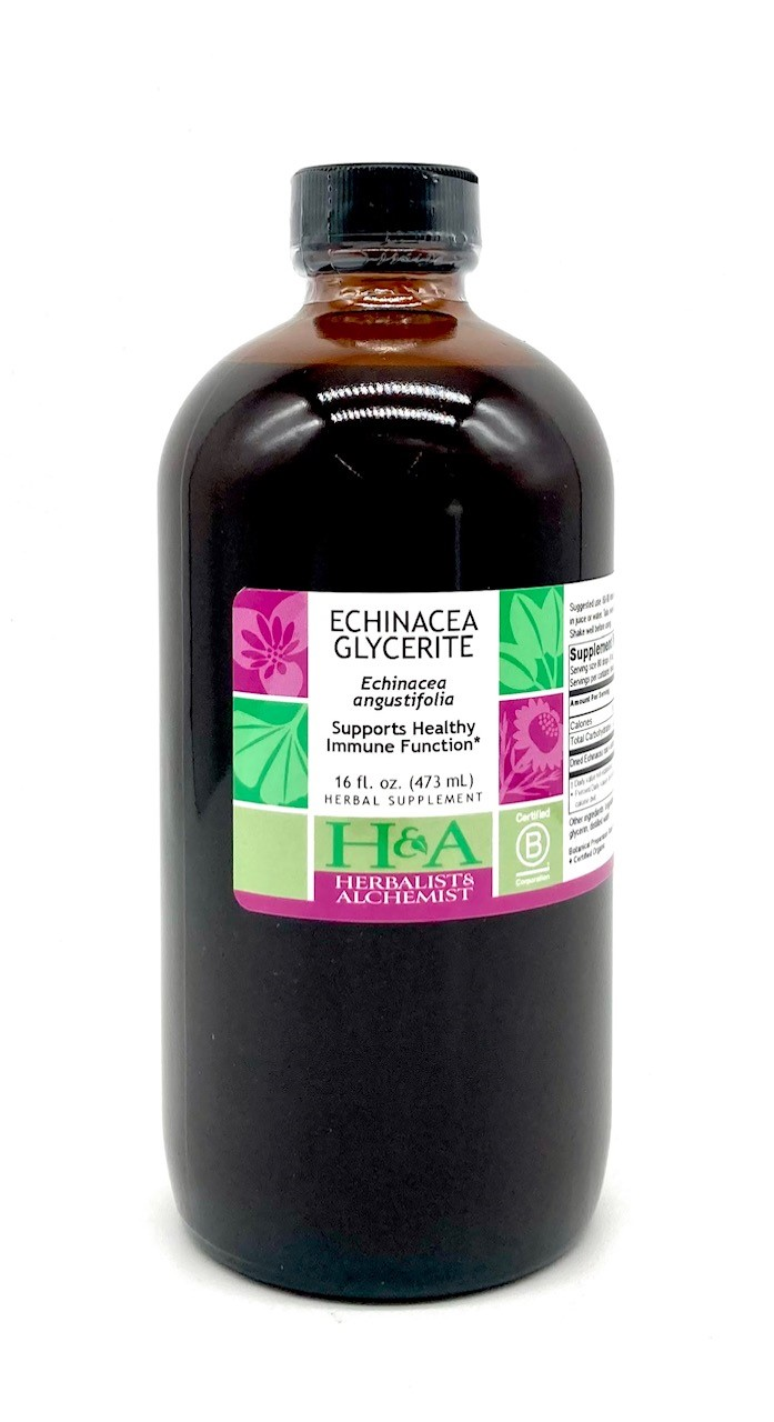 Echinacea Glycerite, 16 oz.