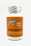 Coricepium